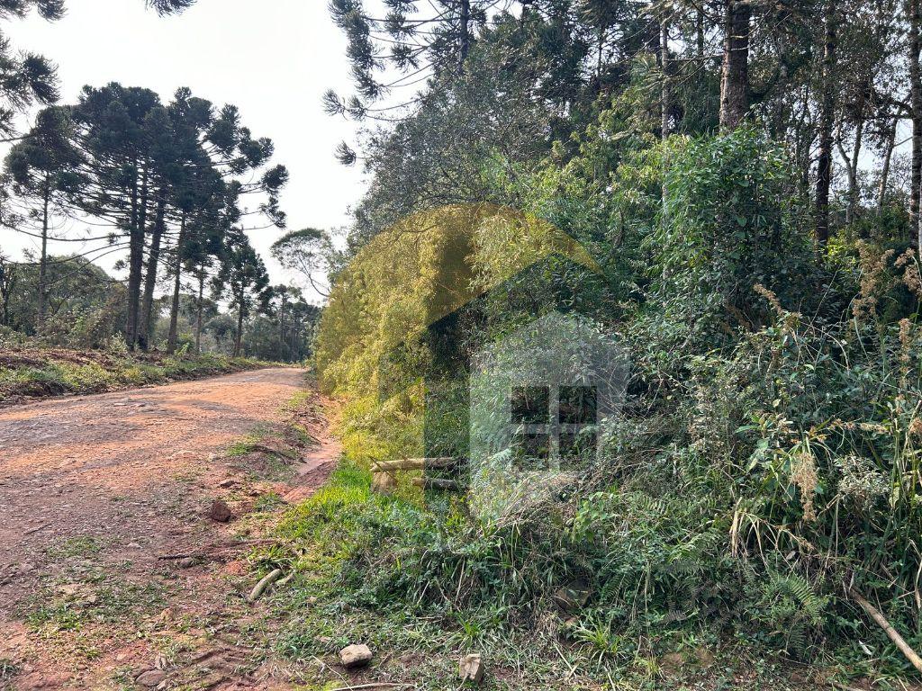 VENDE-SE ÁREA RURAL EM CORONEL DOMINGOS SOARES