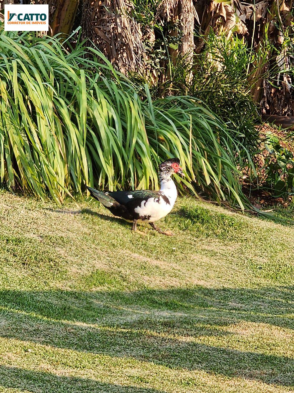 J Catto Imveis em Santa Izabel do Oeste PR