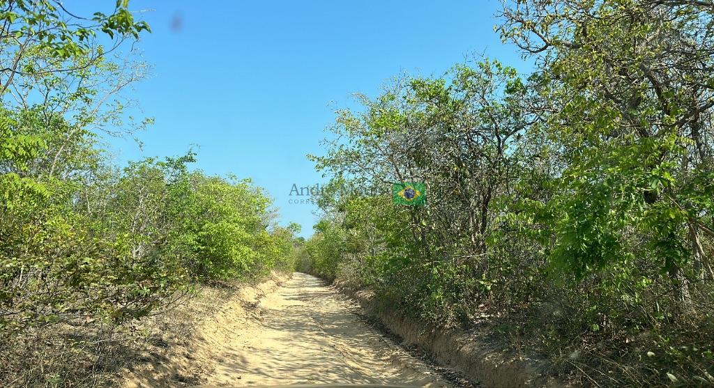 580 hectares em Cerrado 