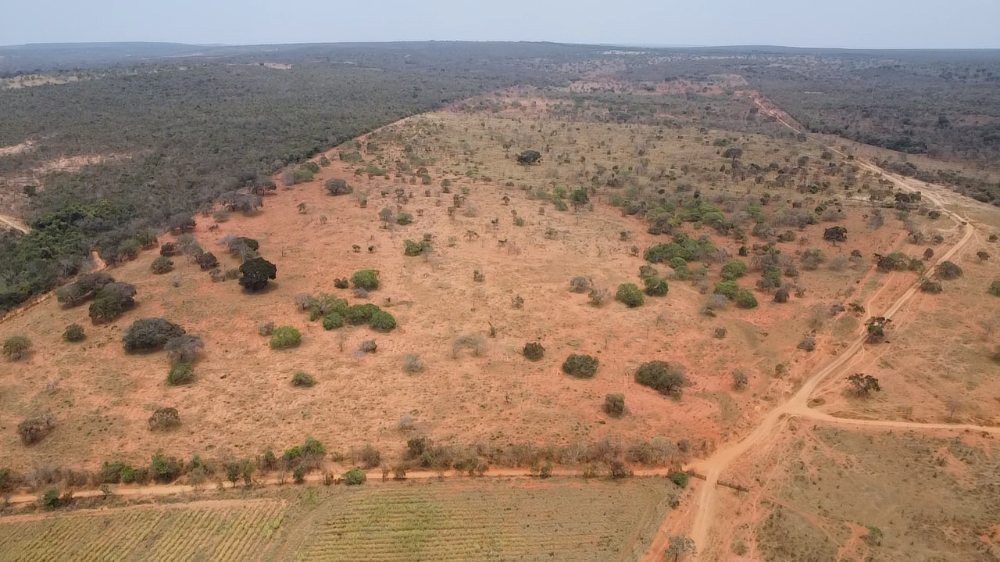 436 hectares com bastante agua para café