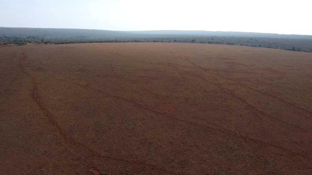 171 hectares as margens do asfalto para café