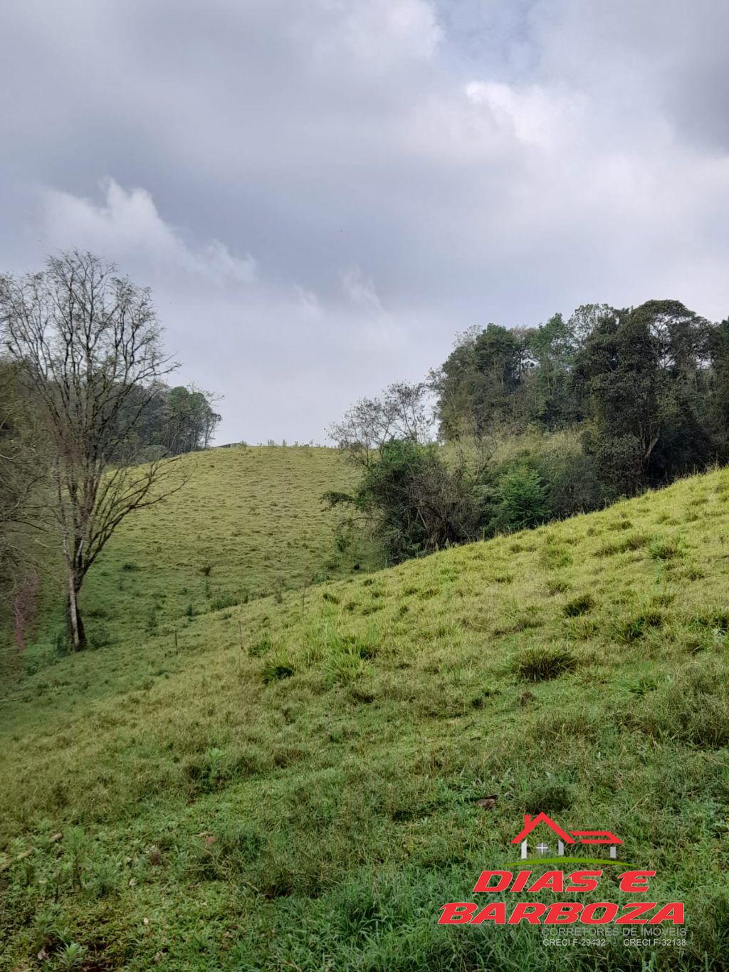 Chcara com 51.000m, em pasto localizado na Linha Sete de Setembro em Planalto.