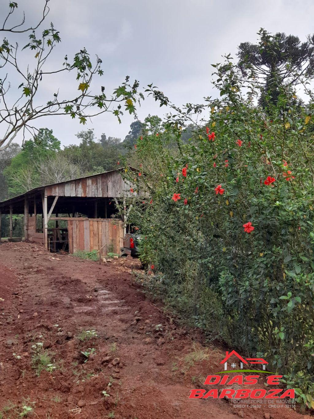 Dias e Barboza Corretores de Imveis em Ampre PR