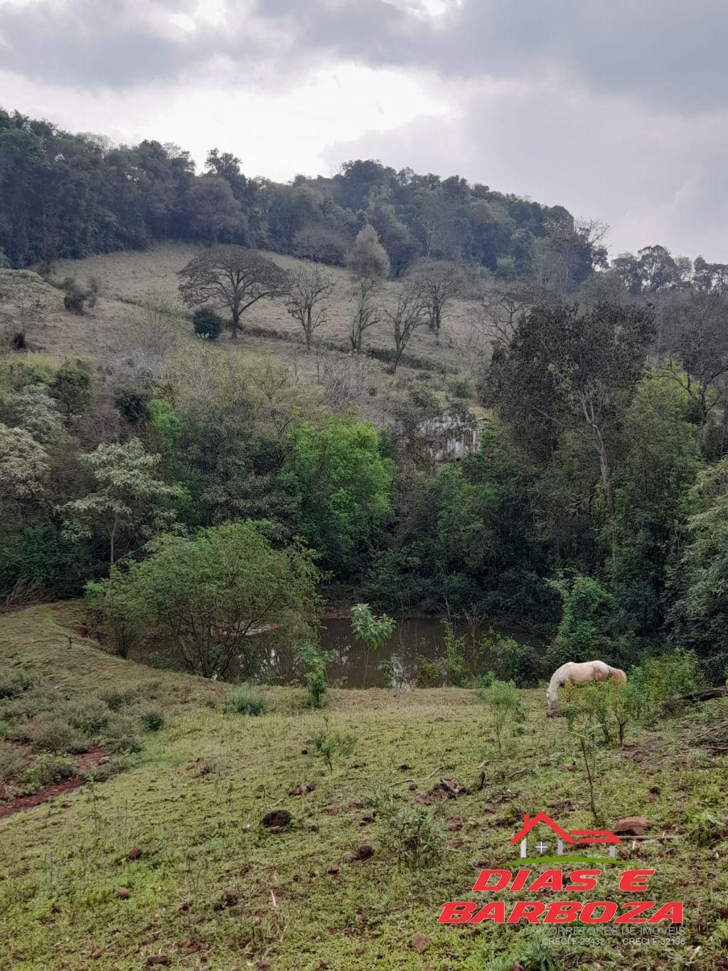 Dias e Barboza Corretores de Imveis em Ampre PR