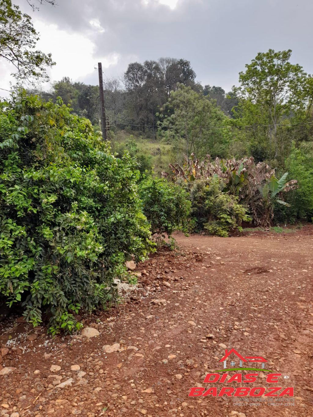 Dias e Barboza Corretores de Imveis em Ampre PR