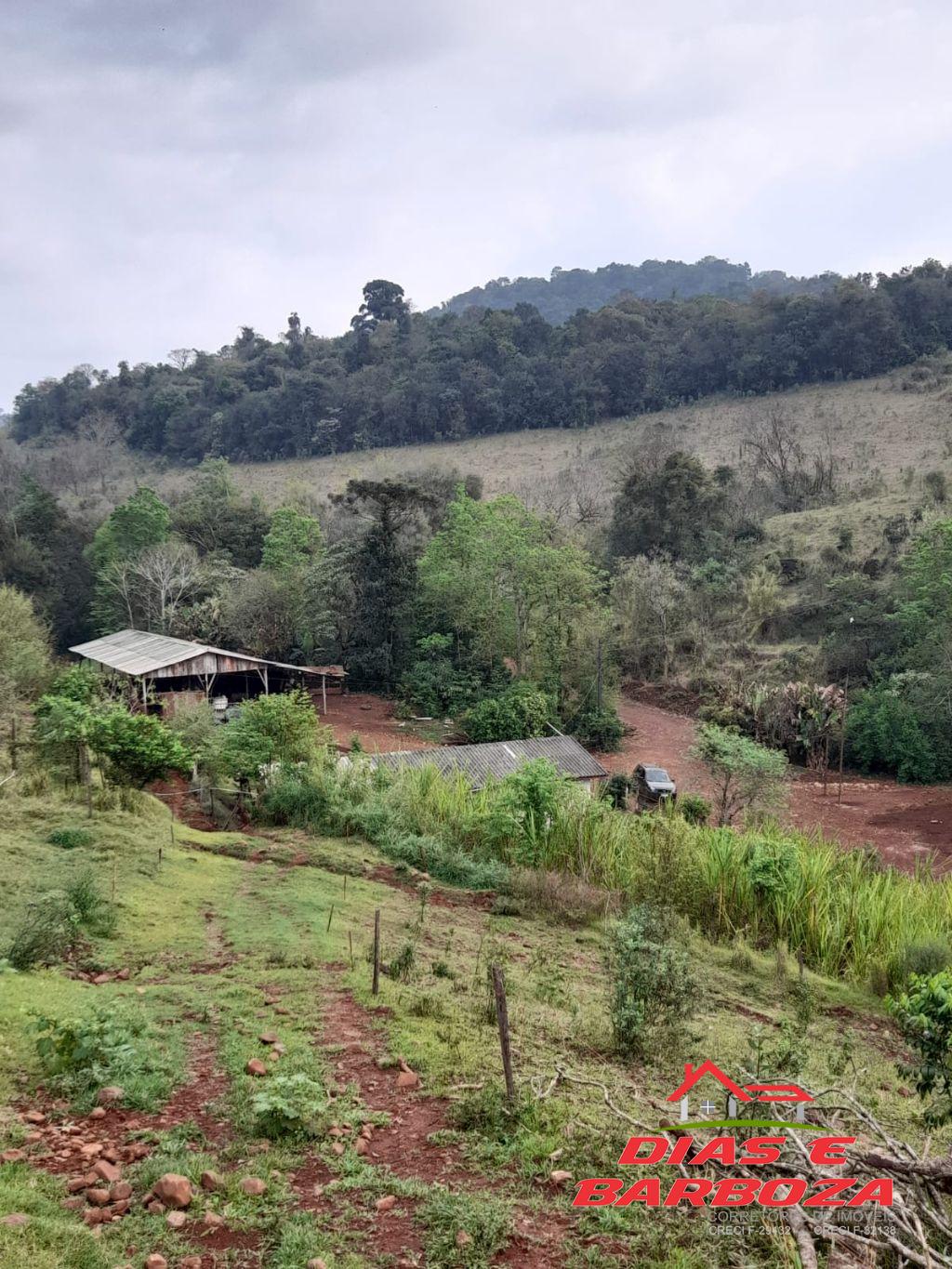 Dias e Barboza Corretores de Imveis em Ampre PR