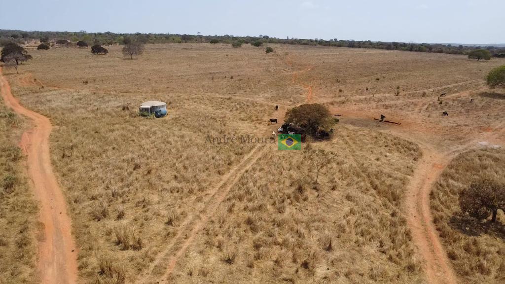 600 hectares em cerrado