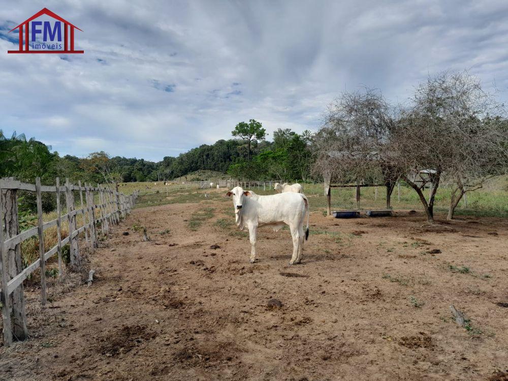 Fazenda à venda - Foto 5