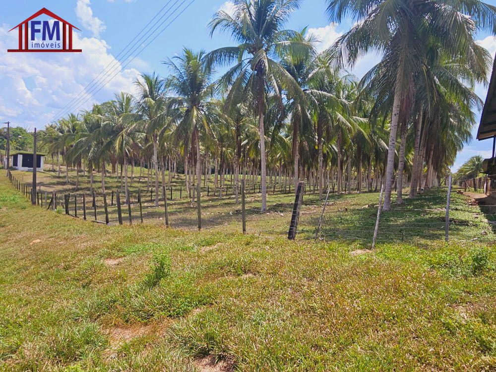 Fazenda à venda - Foto 4