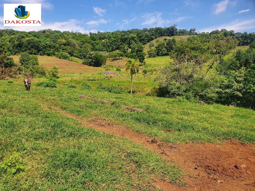 15 Alqueires hoje planta 5 vai ate 10 s 2 km da Br e 4 da Cidade