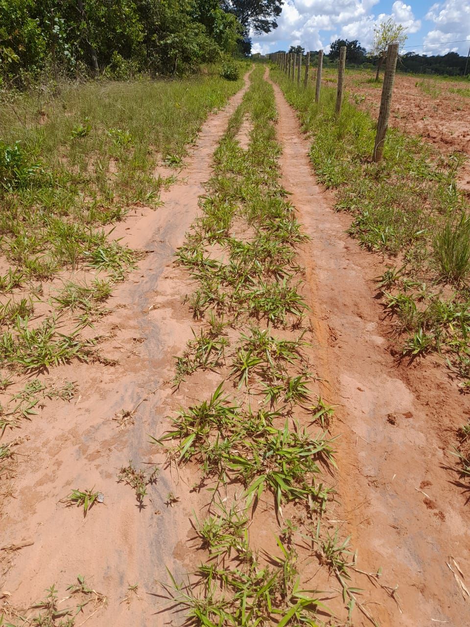 Sítio 1,0 alqueire, água corrente, Uberlândia MG.