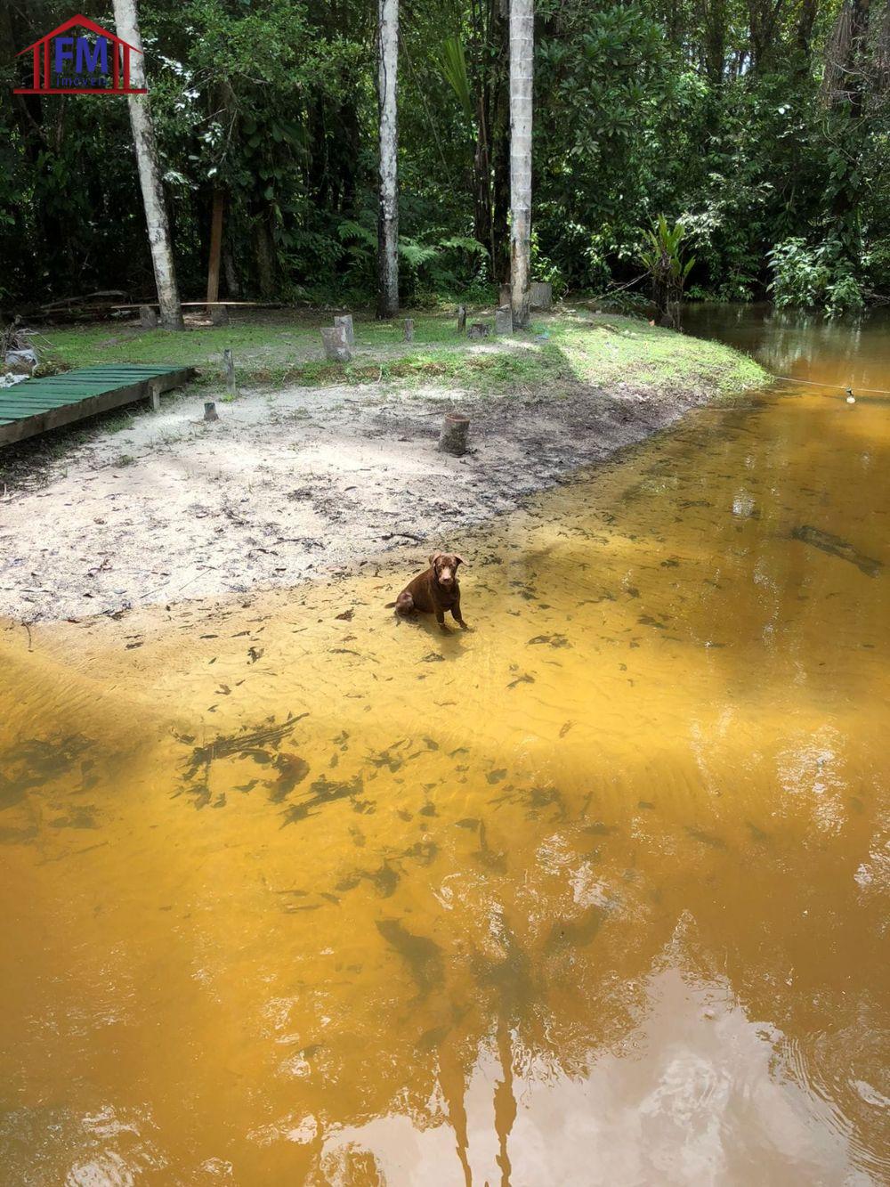 FM Imveis em Manaus AM