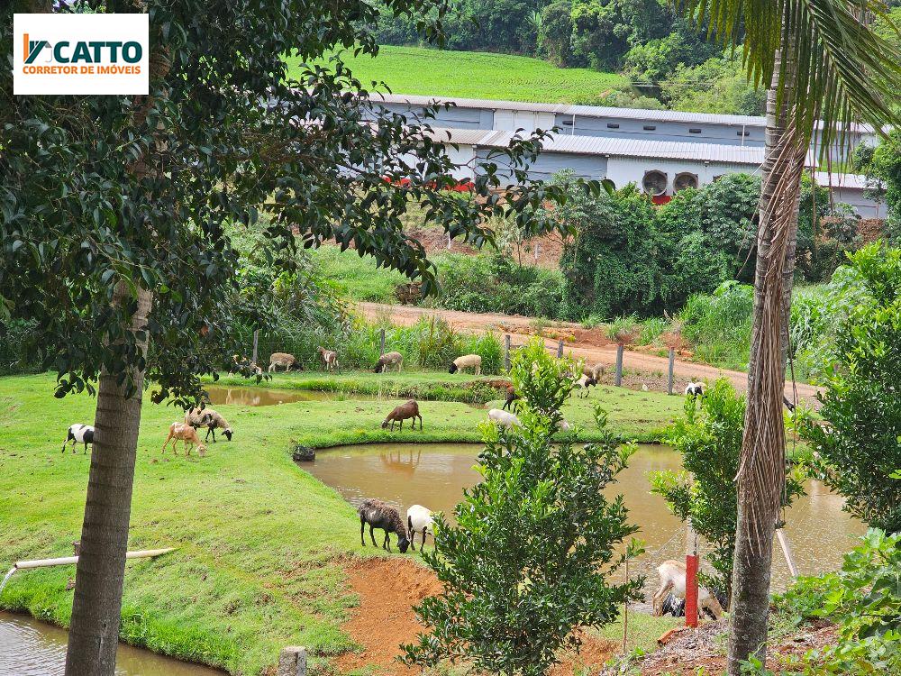 J Catto Imveis em Santa Izabel do Oeste PR