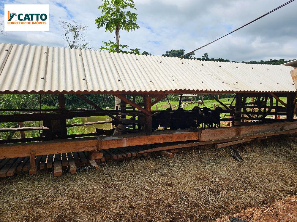 J Catto Imveis em Santa Izabel do Oeste PR