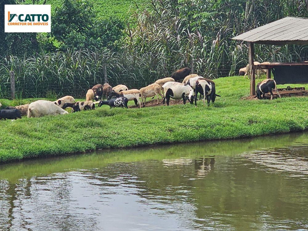 J Catto Imveis em Santa Izabel do Oeste PR