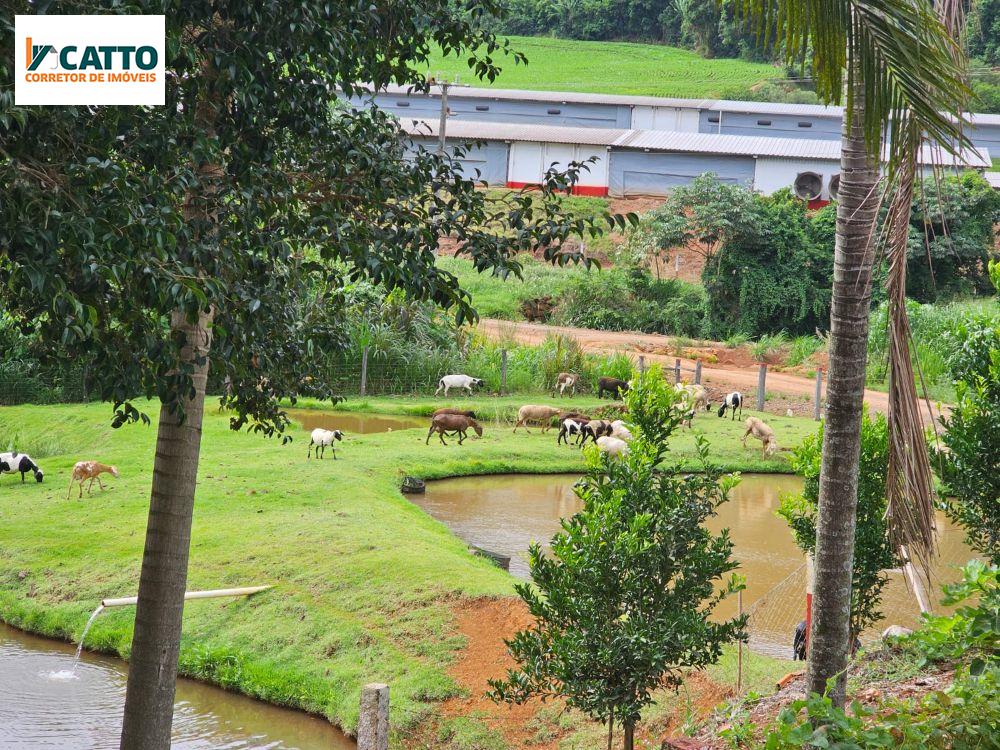 J Catto Imveis em Santa Izabel do Oeste PR