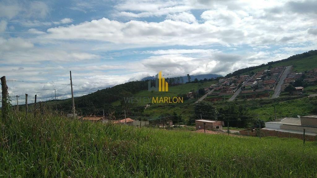 EXCELENTE LOTE