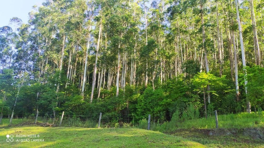 Área Rural para Venda