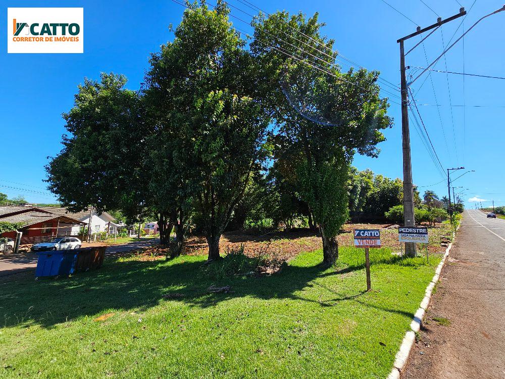 OPORTUNIDADE DE NEGCIO:LINDA CHACARA, NA SAIDA PARA O SANTUARIO EM STA IZABEL 