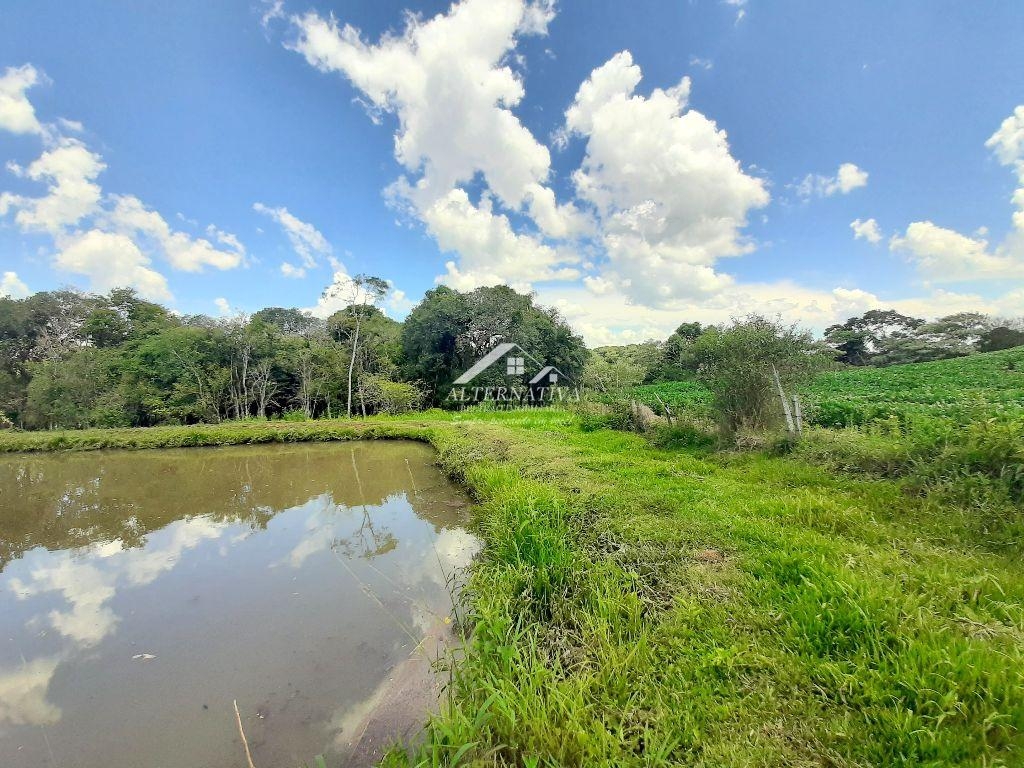 Alternativa Imveis - Imobiliria em Francisco Beltro PR