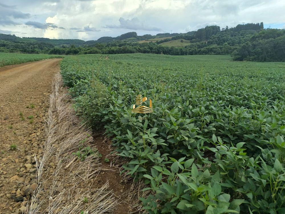 EXCELENTE IMÓVEL RURAL