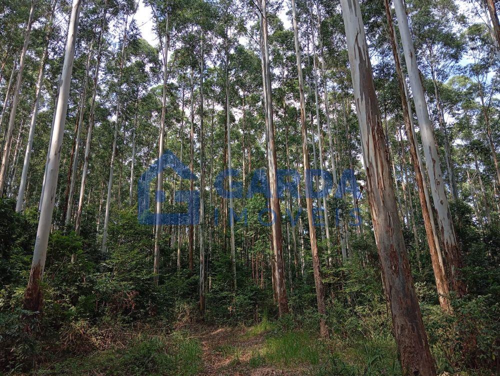 Garda Imveis em So Loureno do Oeste/SC