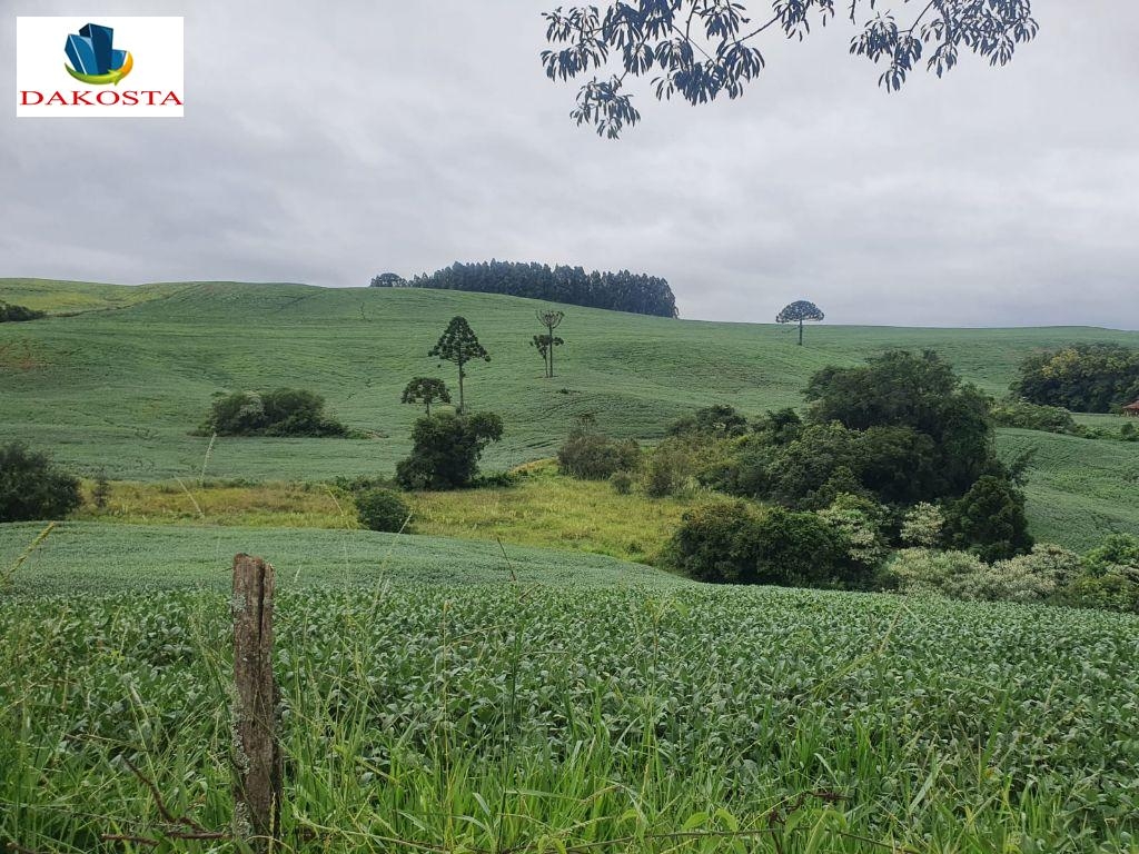 Dakosta Imveis em Enas Marques PR e regio