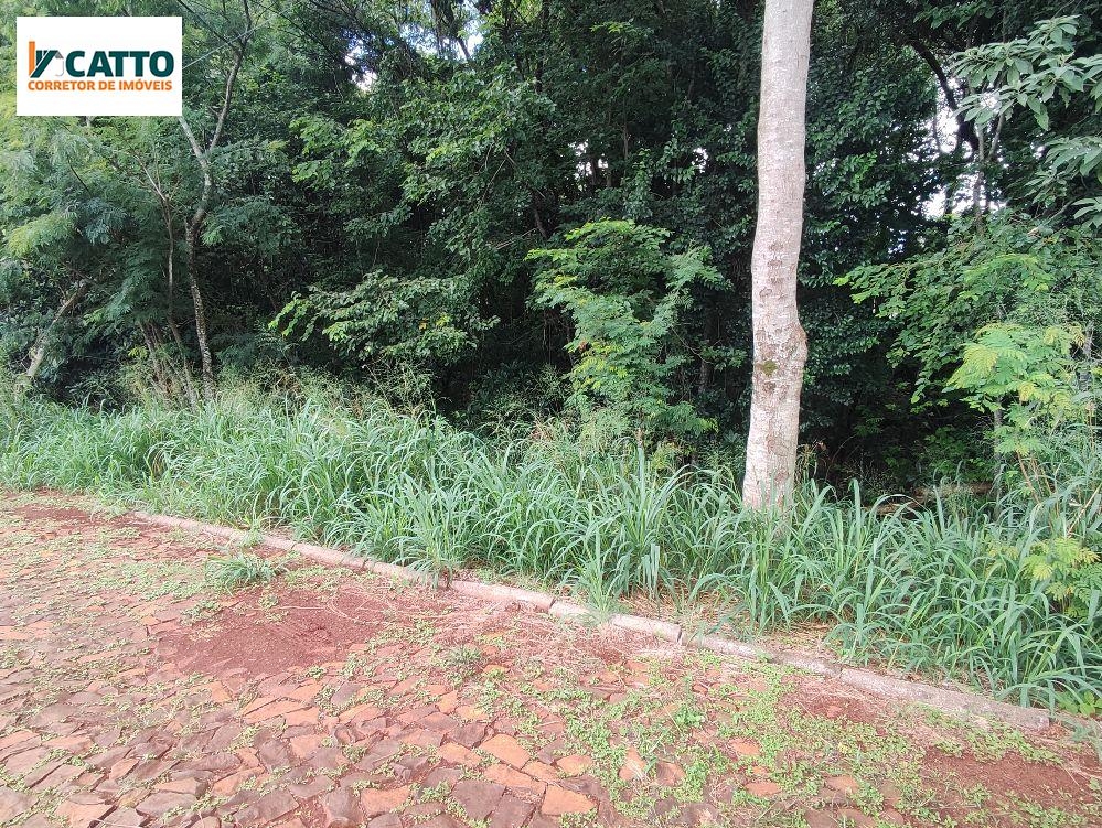 J Catto Imveis em Santa Izabel do Oeste PR
