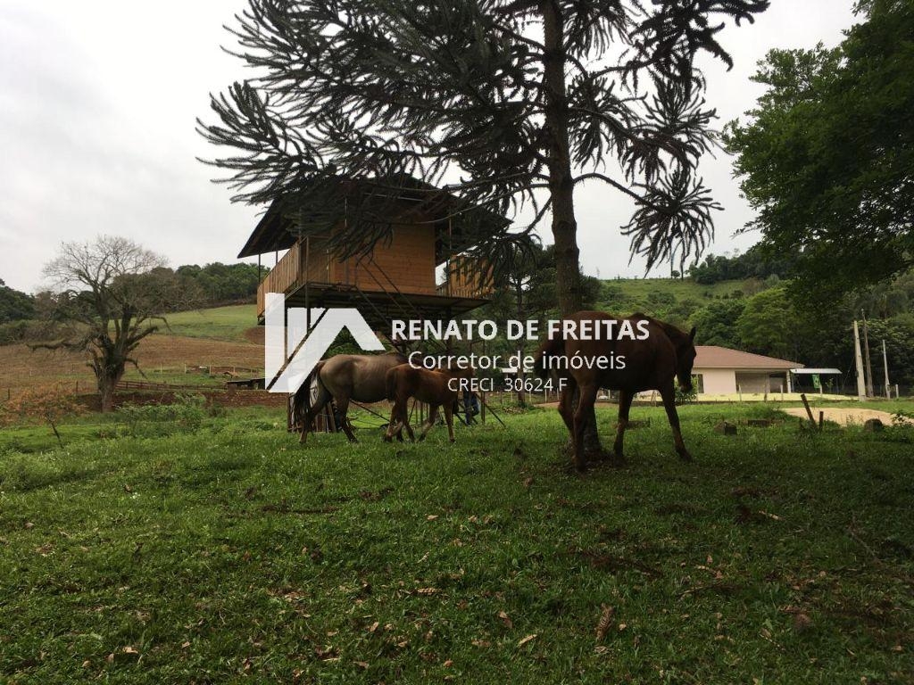 Belíssima chácara para venda 