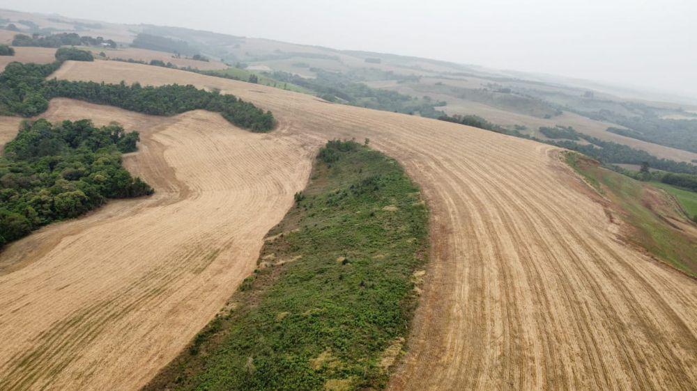 Fazenda Barata á Venda