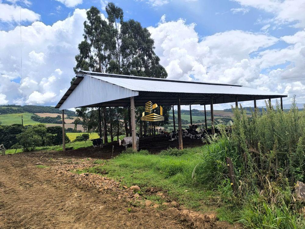 Área Rural a Venda 