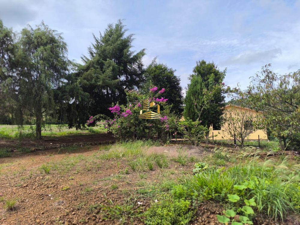 Linda Propriedade Rural 