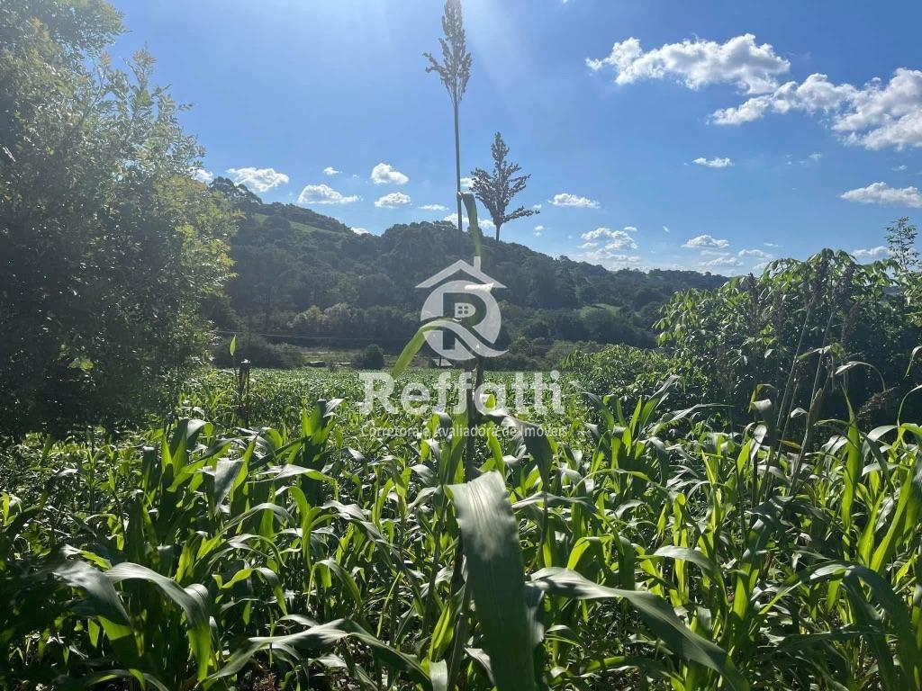 Vende-se!!!  Lote Urbano n° 02, com 1.960m2, localizado no Della Betta, em Franc