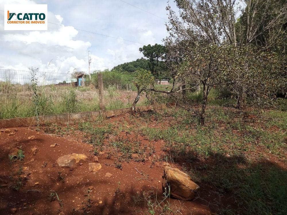 J Catto Imóveis em Santa Izabel do Oeste PR