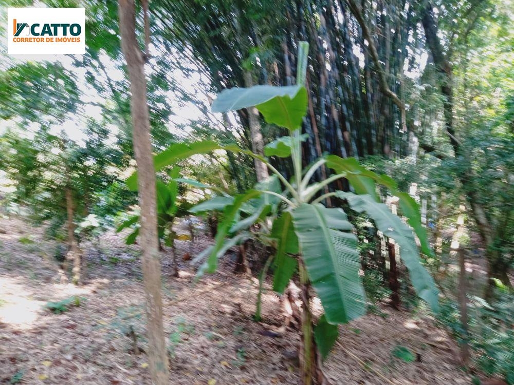 J Catto Imóveis em Santa Izabel do Oeste PR
