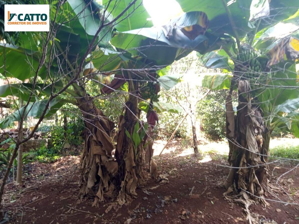 J Catto Imóveis em Santa Izabel do Oeste PR