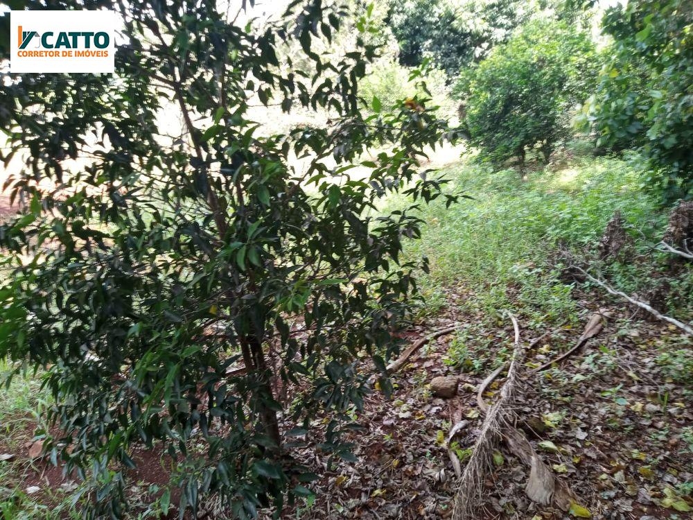 J Catto Imóveis em Santa Izabel do Oeste PR