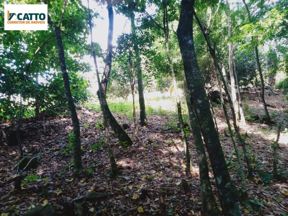 J Catto Imóveis em Santa Izabel do Oeste PR