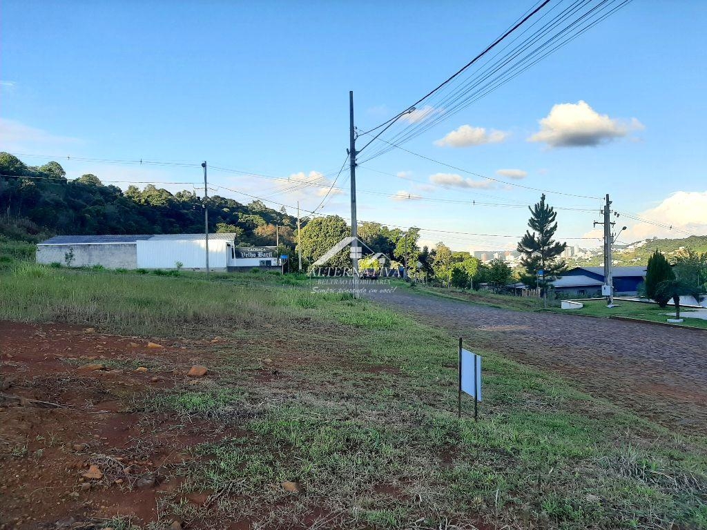 Alternativa Imveis - Imobiliria em Francisco Beltro PR