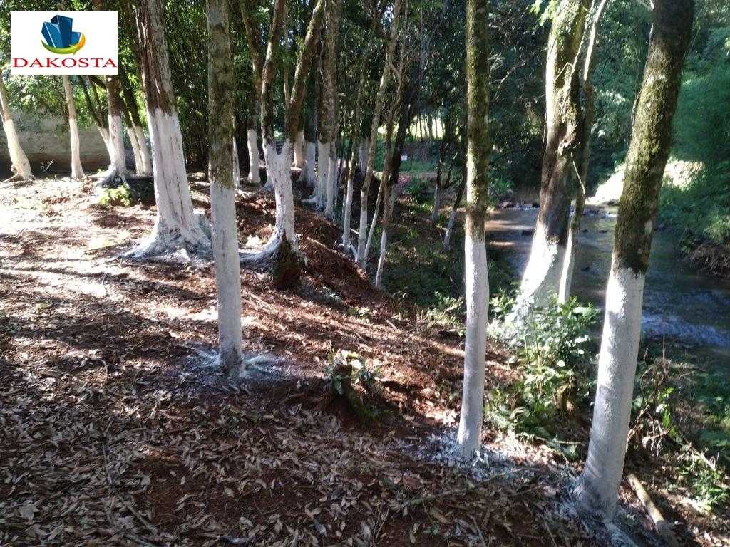 Dakosta Imveis em Enas Marques PR e regio
