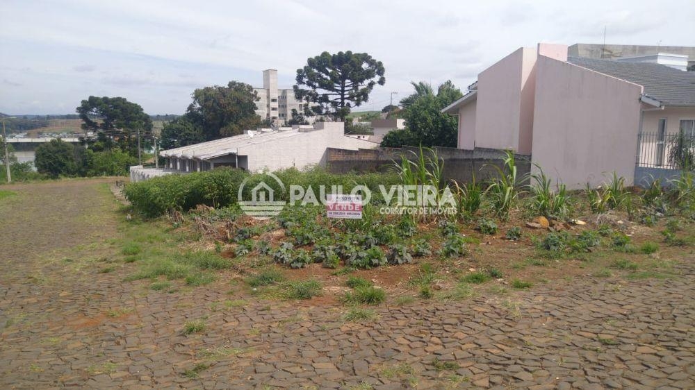 LOTE AMPLO MEDINDO 383,58M2