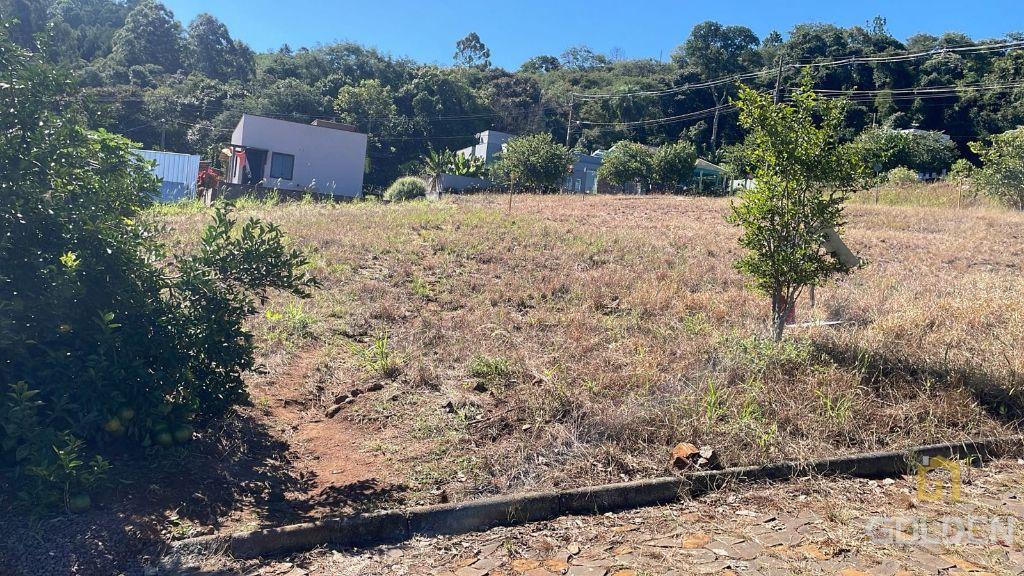 TERRENO NO LOTEAMENTO NORTÃO
