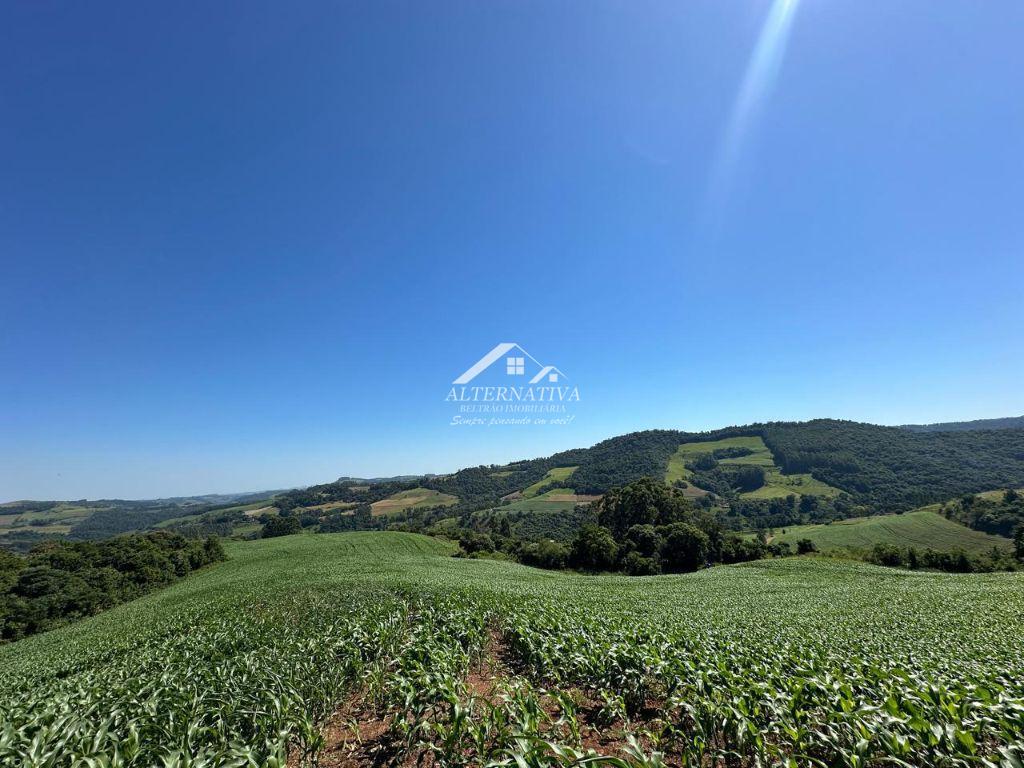CHÁCARA EM FLOR DA SERRA DO SUL – PR.