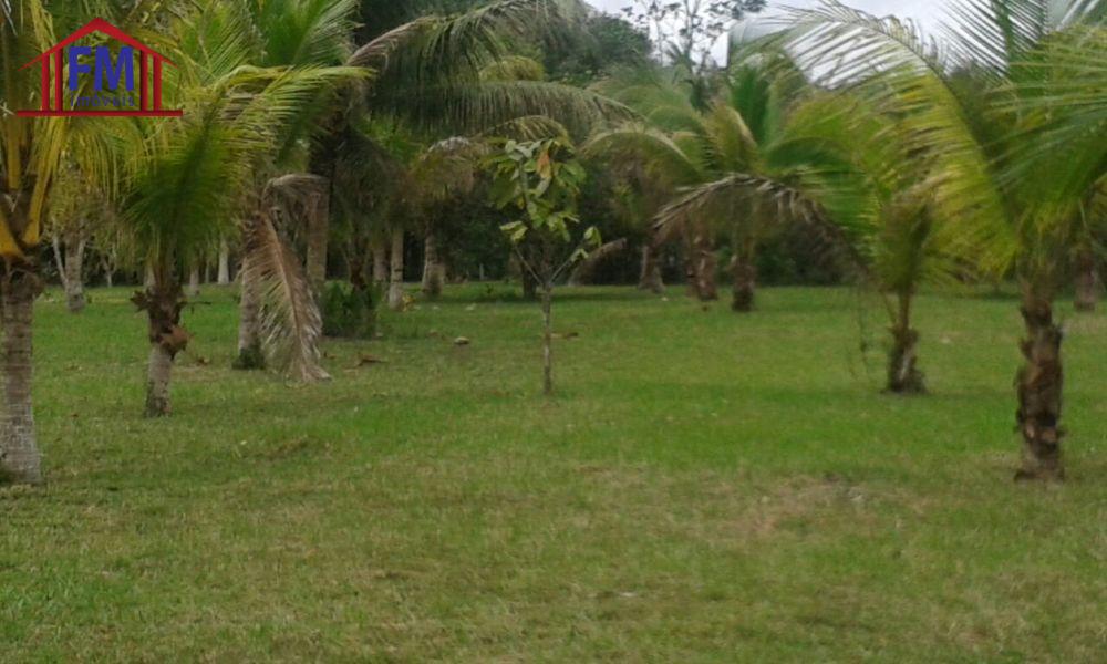 FM Imveis em Manaus AM