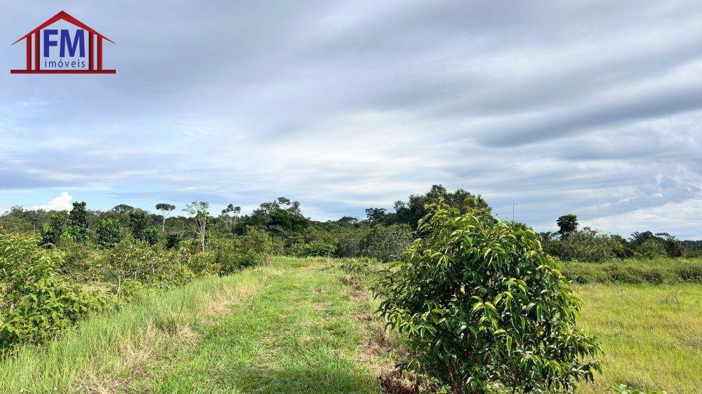 FM Imveis em Manaus AM