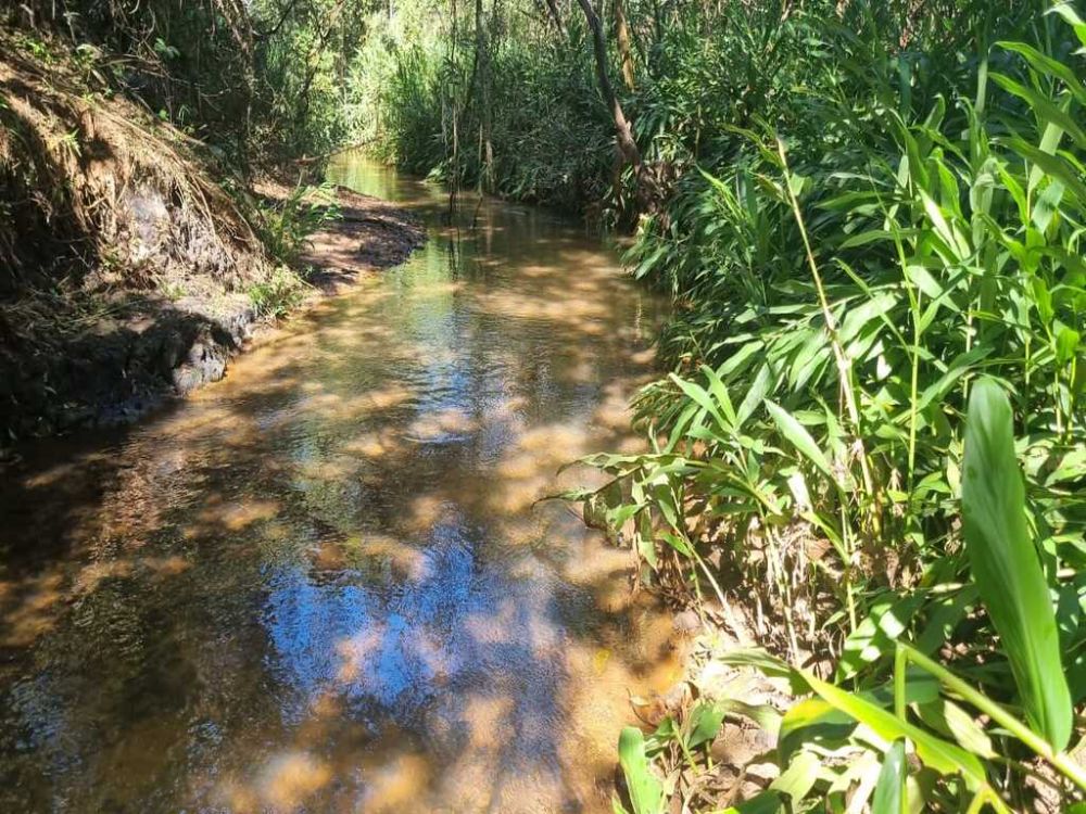 Chácara 2,08 hectares, água corrente, próximo Monte Alegre.