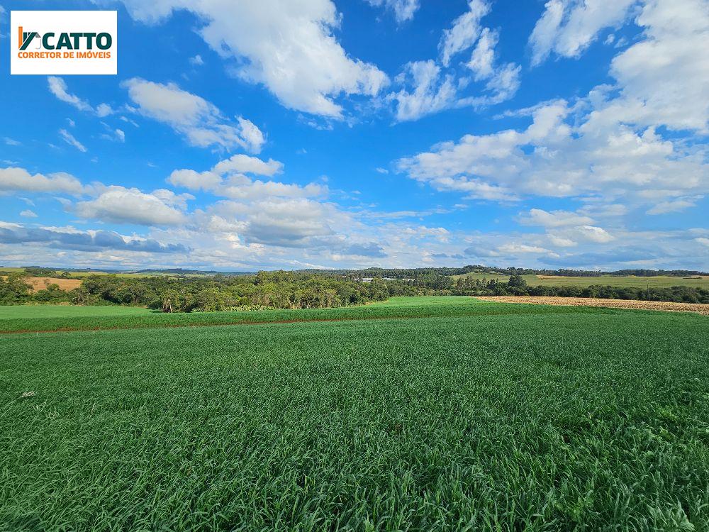 SITIO DE 4.35 ALQUEIRES  MECANIZADOS  PRÓXIMO A COOPAVEL EM STA IZABEL DO OESTE 