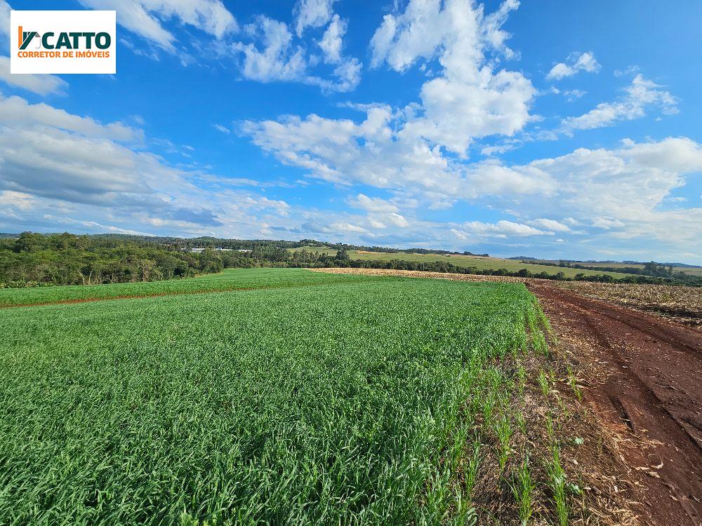 J Catto Imveis em Santa Izabel do Oeste PR