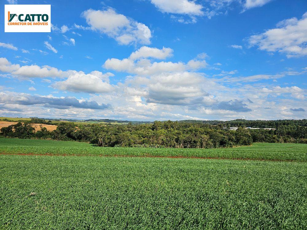 J Catto Imveis em Santa Izabel do Oeste PR
