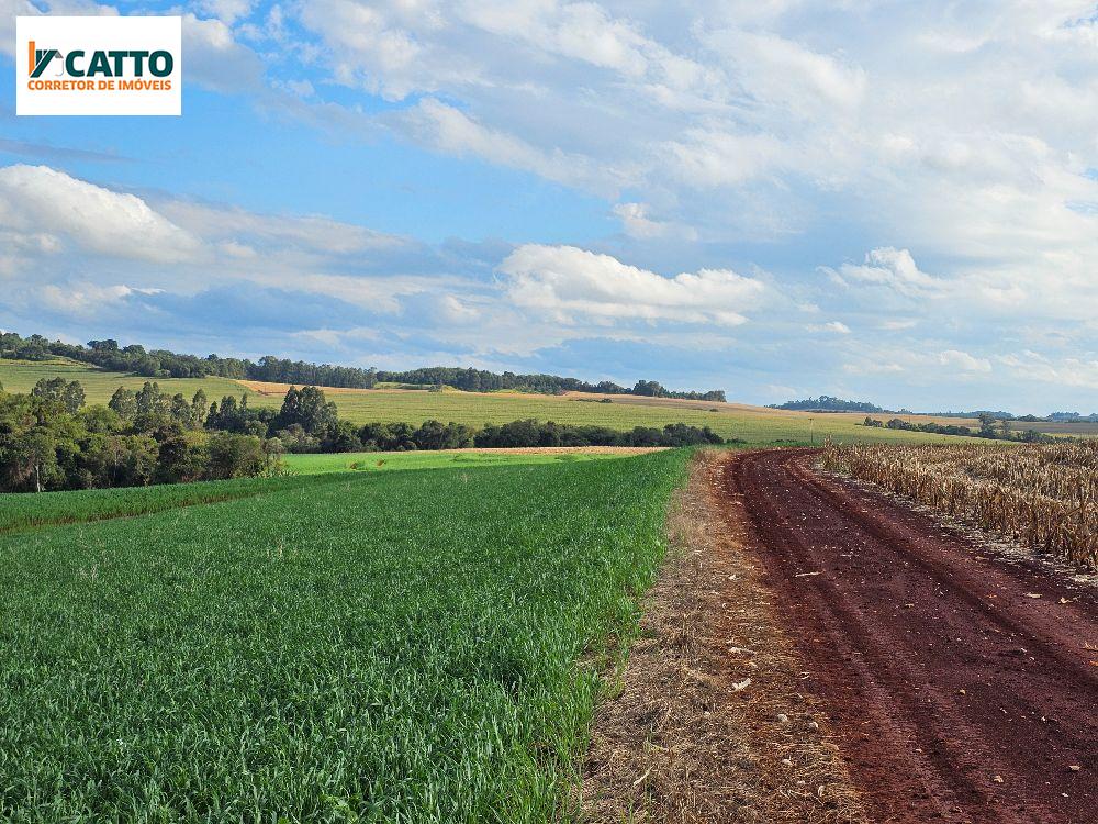 J Catto Imveis em Santa Izabel do Oeste PR